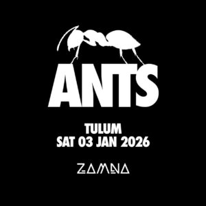 Estacionamiento Festival ANTS Zamna Tulum